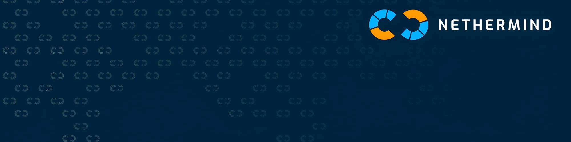 Nethermind Security banner