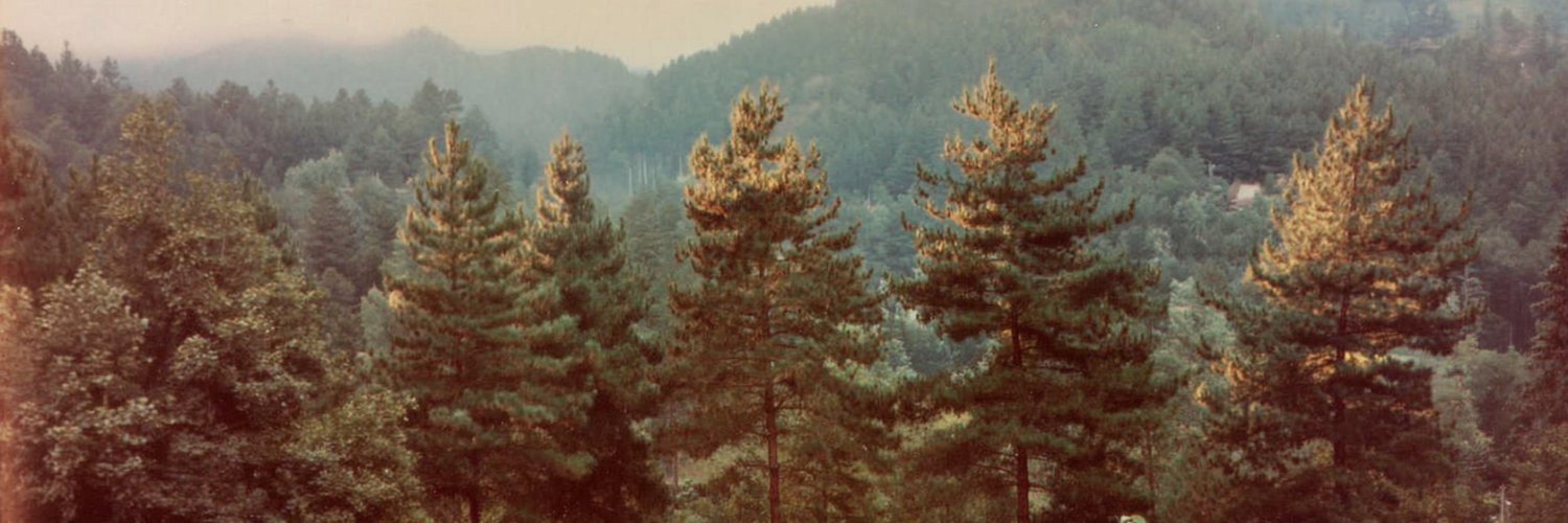 Pine Analytics banner