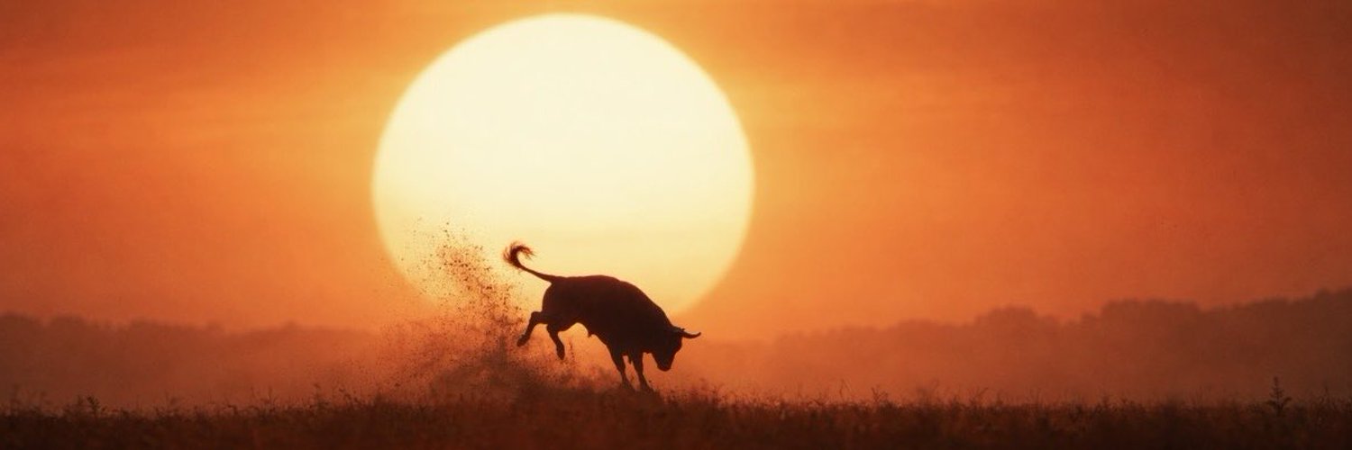 The ₿itcoin Therapist banner