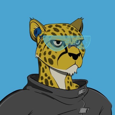 DeFi Cheetah - e/acc Logo