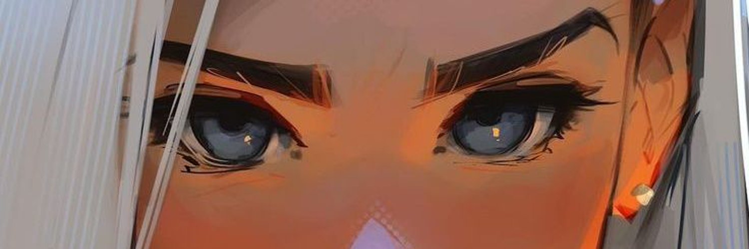 Nova banner